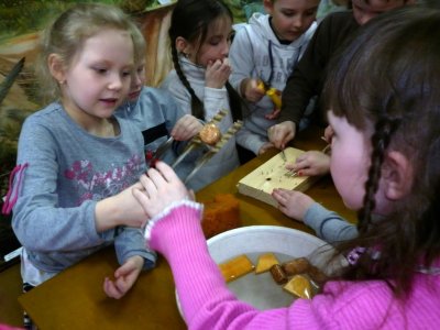 У кого какие клювы?