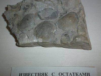 Зал археологии