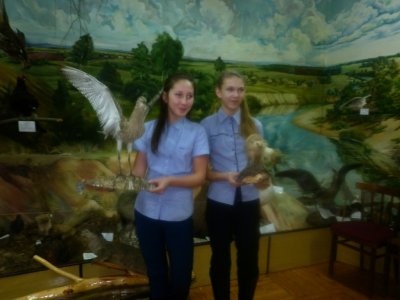 Кто такой таксидермист?