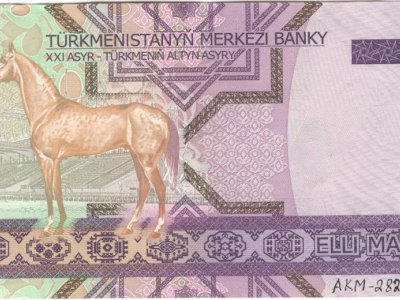 Банкнота 50 манат. Оборотная сторона