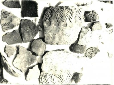 Находки полевого сезона 1992 г. Фонды Афанасьевского краеведческого музея.