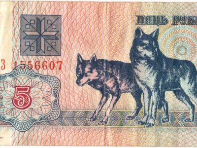 5 рублей (Республика Беларусь). Фонды Афанасьевского краеведческого музея.