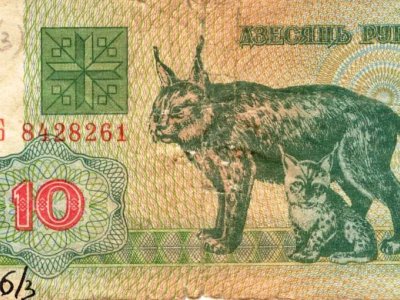 10 рублей (Республика Беларусь). Фонды Афанасьевского краеведческого музея.
