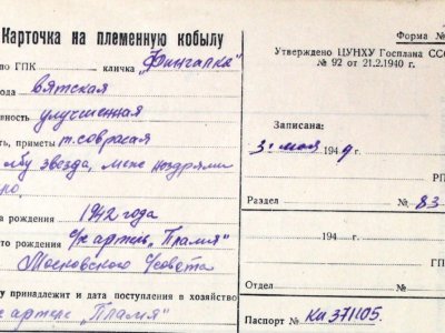 Карточка на племенную кобылу «Фингалка».