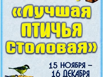 Лучшая птичья столовая