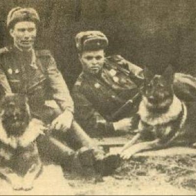 Справа овчарка Дина с А. Филатовым