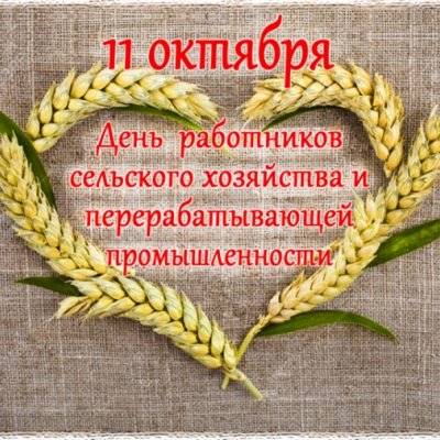 День работников сельского хозяйства и перерабатывающей промышленности