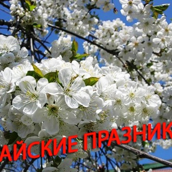 Режим работы в майские праздники
