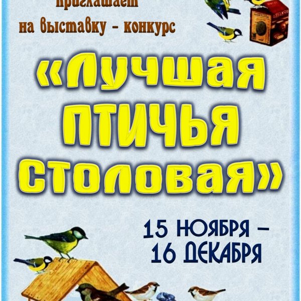 Лучшая птичья столовая