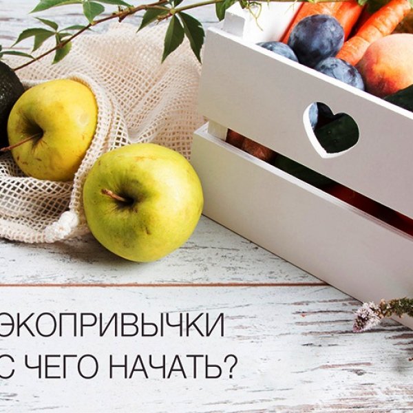 Эффективные ЭКО привычки